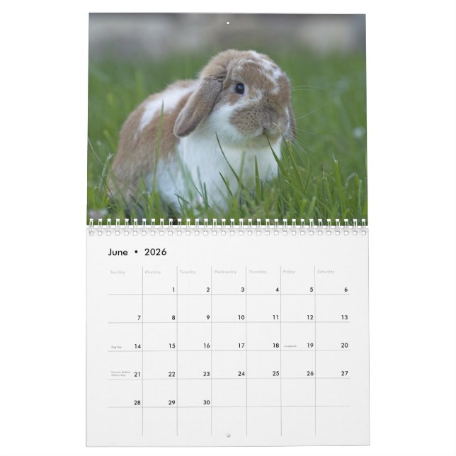 Häschen 2016 - 12 Monate niedliche Kalender (Jun 2026)