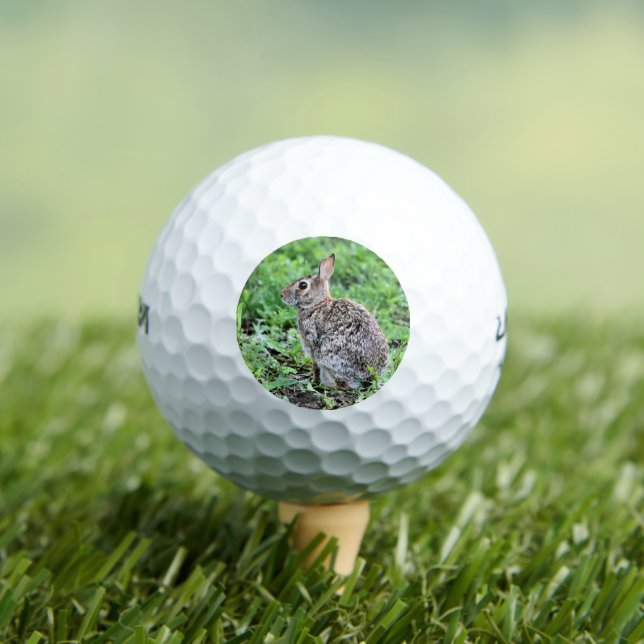 Häschen Golfball (Insitu T-Shirt)