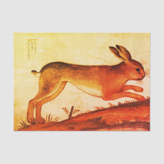 HÄSCHEN kundenspezifisches 10lb Seidenpapier, weiß Seidenpapier (Vorderseite)