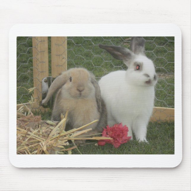 Häschen Mousepad (Vorne)