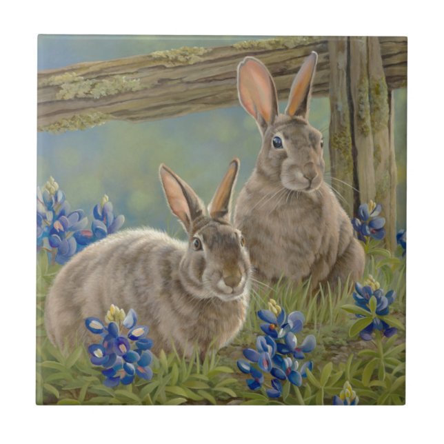Häschen u. Bluebonnets Fliese (Vorderseite)