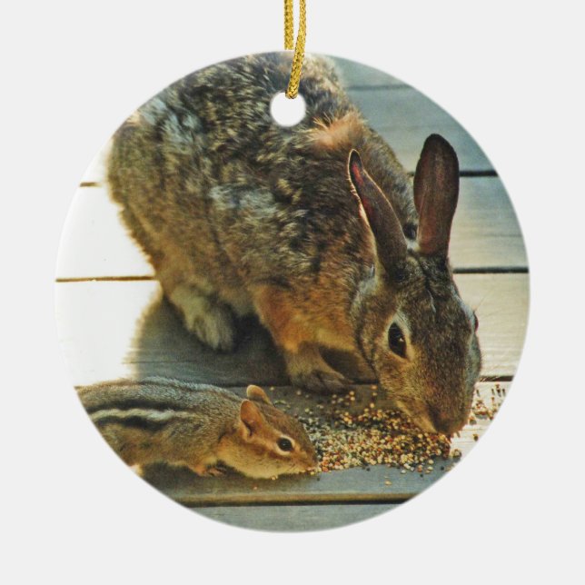 Häschen-und Chipmunk-Teilen Keramik Ornament (Vorne)