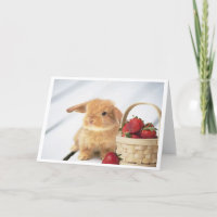 Häschen und Erdbeeren
