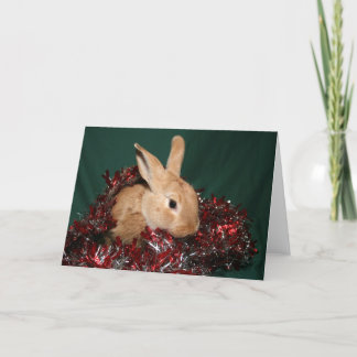 Häschen-Weihnachten Feiertagskarte