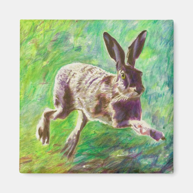 Hase 2011 magnet (Vorne)