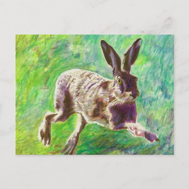 Hase 2011 postkarte (Vorderseite)