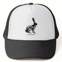 Hase-Illustration