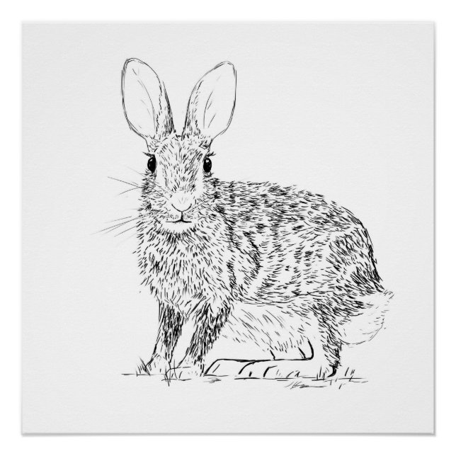 Hase Monochrom-Druck Poster (Vorderseite)