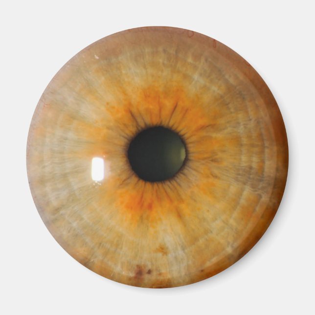 Haselauge mit Sommersprossen Magnet (Vorne)