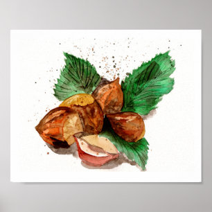 Haselnüsse Aquarell Poster
