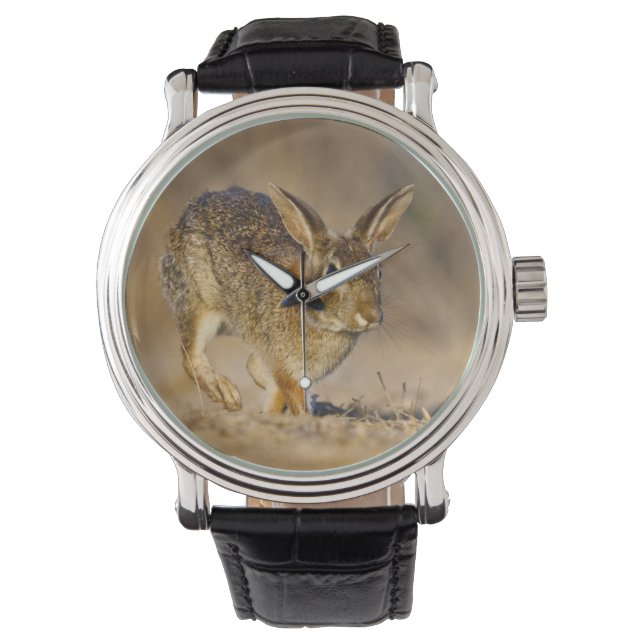 Hasen Armbanduhr (Vorderseite)