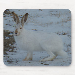 Hasen des Snowshoe-R23 Mousepad