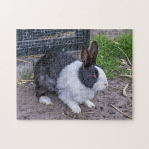 Hasen-Puzzle