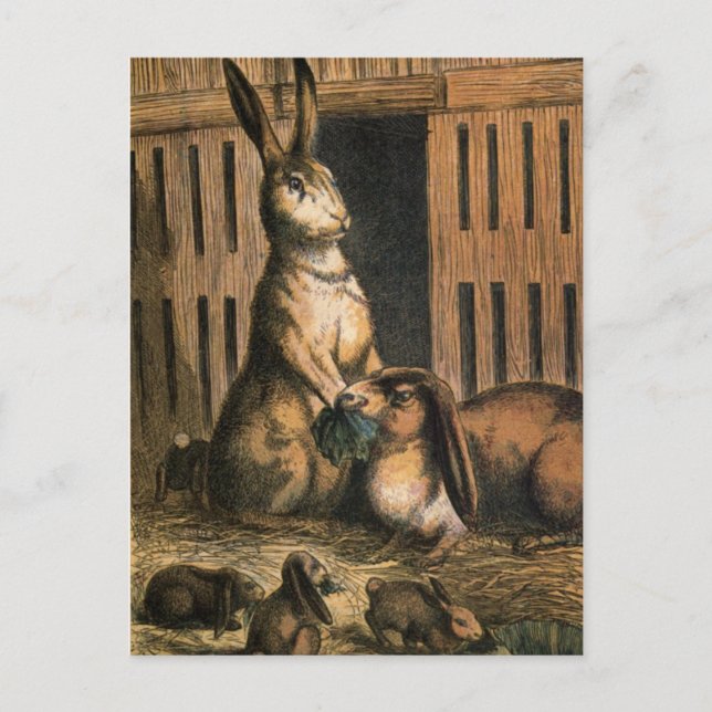 Hasen und Säuglinge essen Postkarte (Vorderseite)