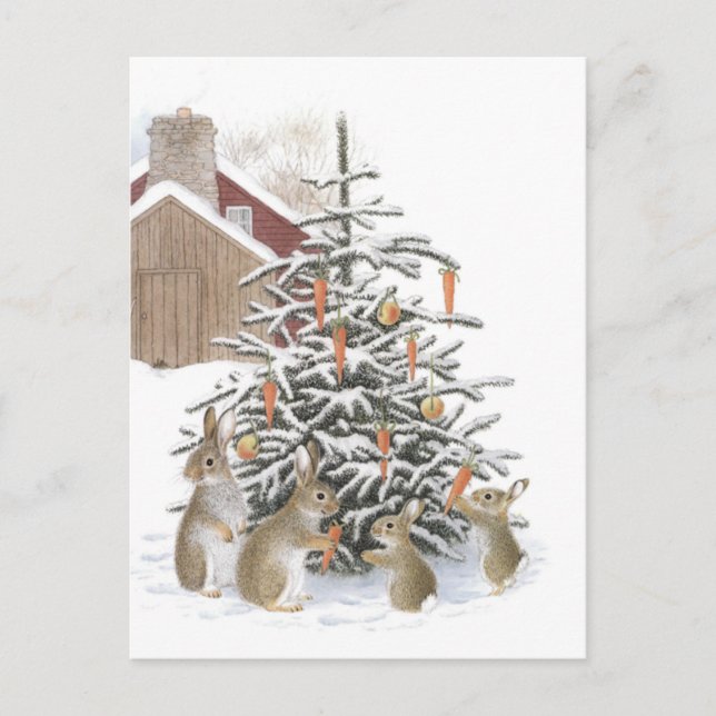 Hasenbaum Postkarte (Vorderseite)