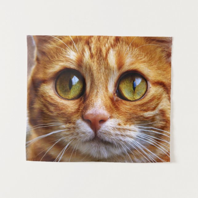 Hasenkatze Wandteppich (Vorderseite (Horizontal))