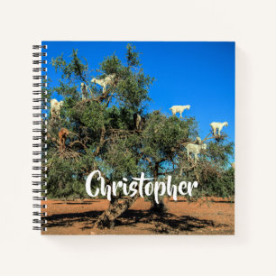 Hasenziegen in Bäumen Marokko Personalisierter Na Notizbuch