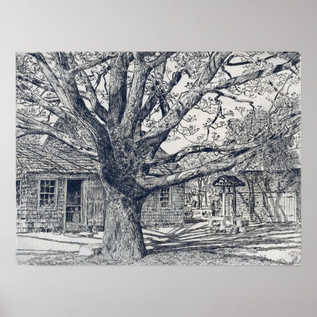 Hassam - Eiche und altes Haus im Frühling Poster (Vorne)