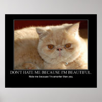 Hasse mich nicht... Cat Artwork Funny