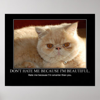 Hasse mich nicht... Cat Artwork Funny Poster