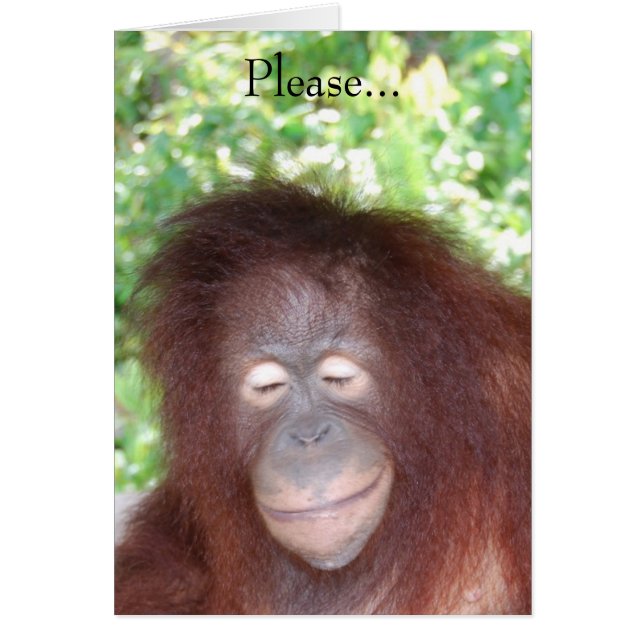 Hasse mich nicht, weil ich schön bin (Vorne)