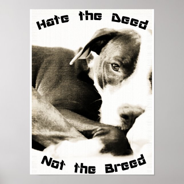 hassen die Rasse nicht das Poster der Taten (Vorne)