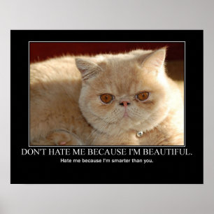 Hassen Sie mich nicht… die lustige Katzen-Grafik Poster