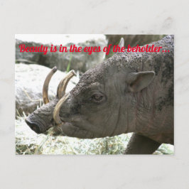 hässliche Tiere, Babirusa Postkarte
