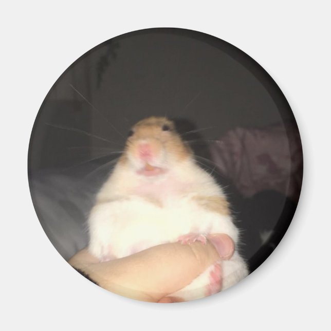 Hässliches Hamster-Meme Magnet (Vorne)