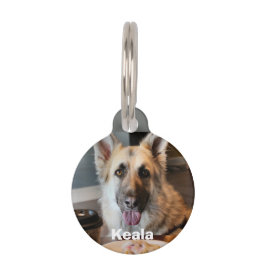 Hast du dir etwas besorgt? haustiermarke