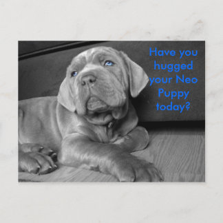 Hast du heute deinen Neo-Welpen umarmt? Postkarte