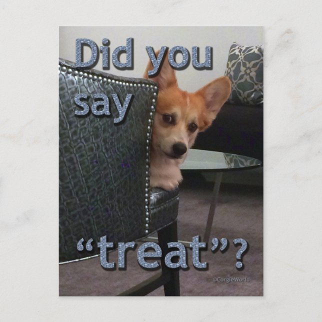 "Hast du 'Leckerei' gesagt?" Corgi Card Postkarte (Vorderseite)
