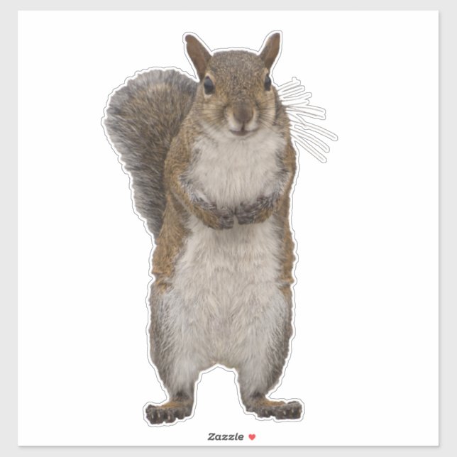 Hast du Nüsse? Aufkleber (Blatt)