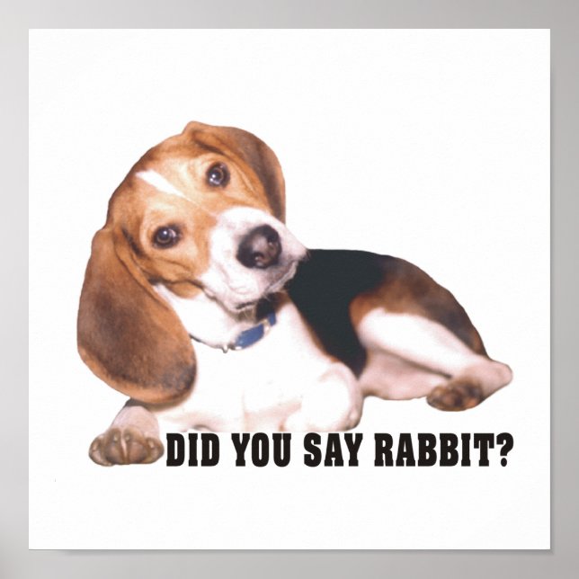 Hast du Rabbit gesagt? Beagle Poster (Vorne)