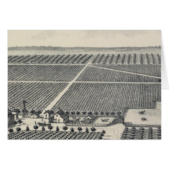 Hastie Vineyard, Californie (Devant horizontal)