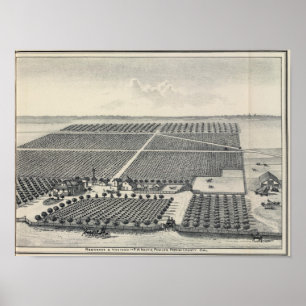 Hastie Vineyard, Kalifornien Poster