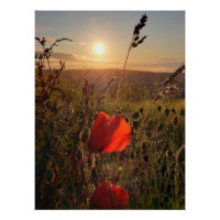 Hastiger Sonnenuntergang über roten Pflücken im Fe