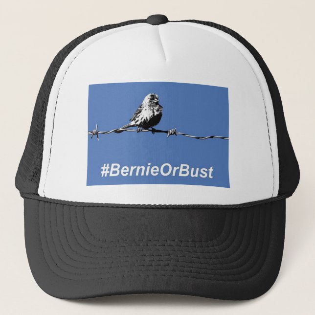 Hat Bernie oder Bust Truckerkappe (Vorderseite)