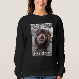 Hat Cat Gekackt viele Kalorien Chihuahua auf Sweatshirt