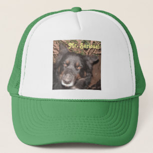 Hat Husky Collie Cross Truckerkappe