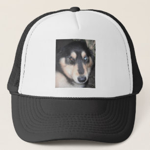 Hat Husky ein blaues Auge ein braunes Auge Truckerkappe