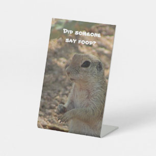 Hat jemand Essensbüffet gesagt, Tischeichhörnchen- Sockelschild