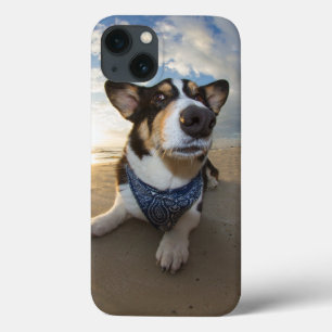 Hat jemand Keks gesagt? Case-Mate iPhone Hülle
