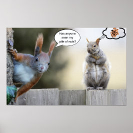 Hat jemand meine Nüsse gesehen? Poster