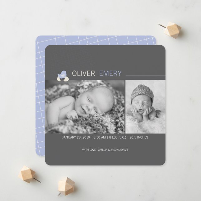 Hatched Ei Baby Chick Boy Geburtserklärung Ankündigung (Vorderseite/Rückseite Beispiel)