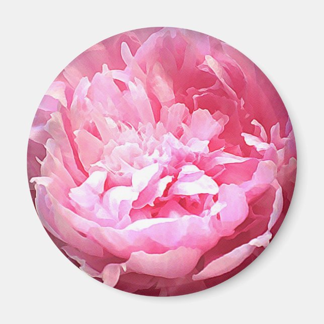 Hatched Pink Peony Magnet (Vorne)