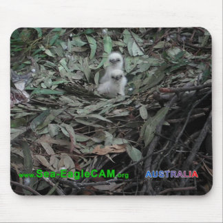 Hatchlings S1 u. S2 Mousepad horizontal