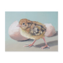 Hatted Chick Bird Art Postcard