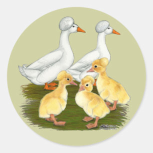 Haubenentenfamilie Runder Aufkleber