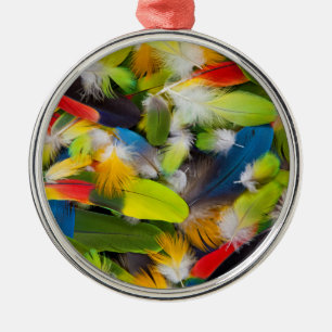 Haufen bunter Federn Silbernes Ornament